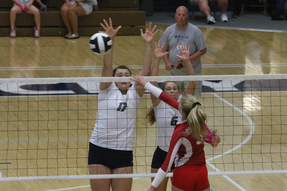 Gallery: Girls volleyball - Crown Point at Michigan City